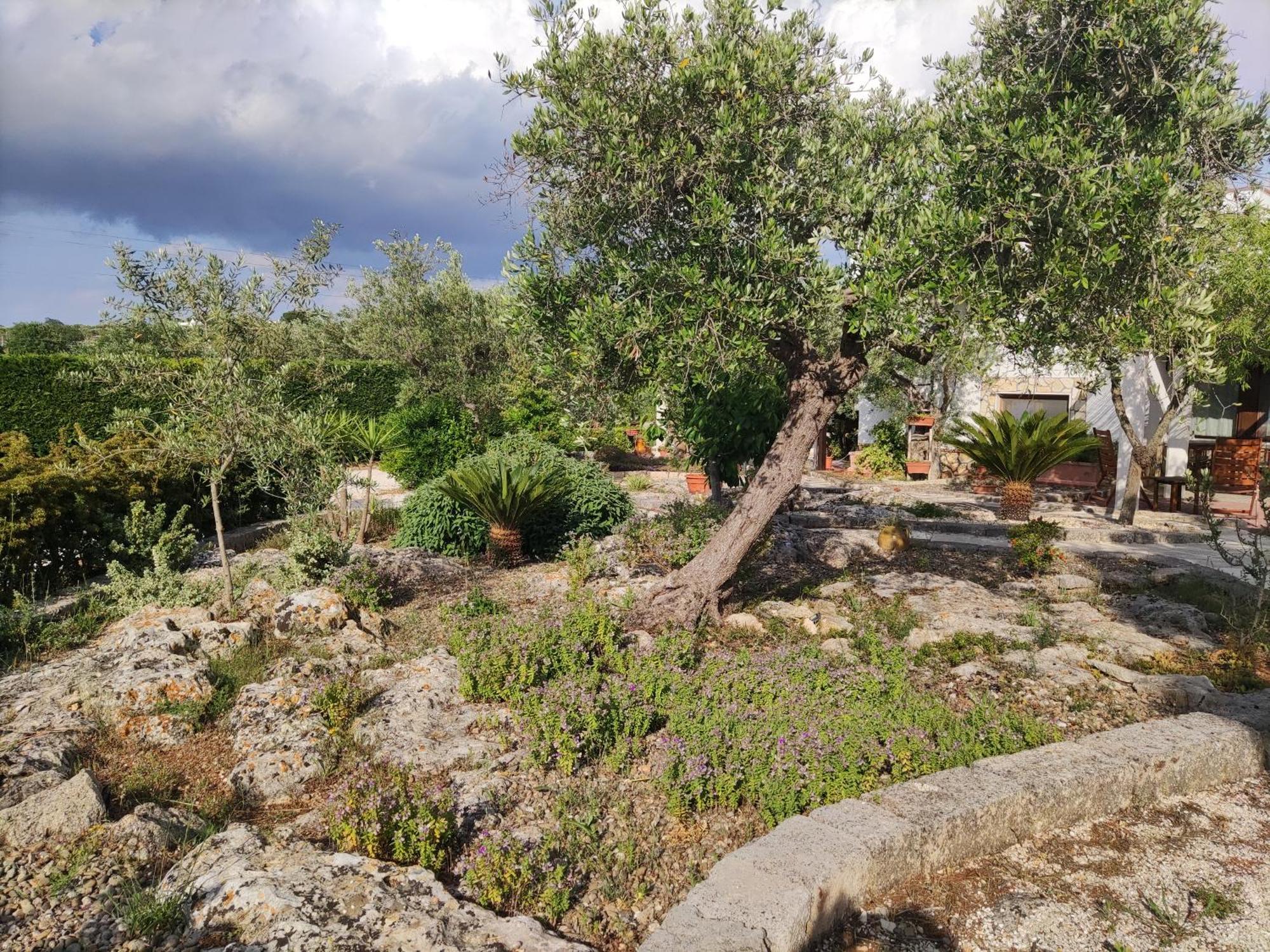 Villa Giulia B&B กัสเตลลานา กรอตเต ภายนอก รูปภาพ
